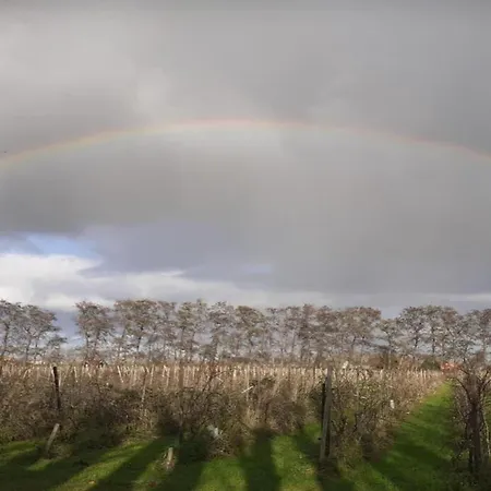 In Zuytland Buiten By The Water
