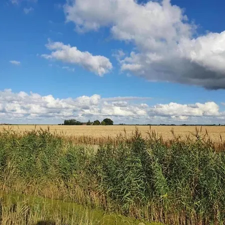 In Zuytland Buiten By The Water Tatil Evi *