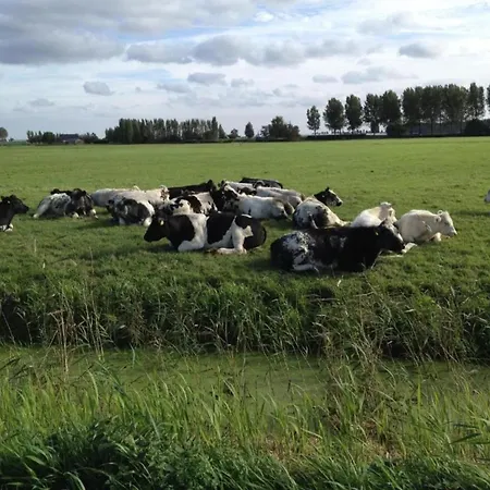 Casa vacanze In Zuytland Buiten By The Water Simonshaven