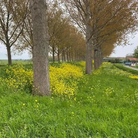 In Zuytland Buiten By The Water Vakantiehuis Simonshaven