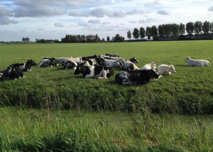 Сasa de vacaciones In Zuytland Buiten By The Water Simonshaven