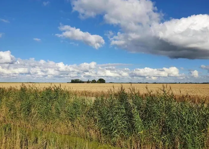 In Zuytland Buiten By The Water Σπίτι διακοπών *