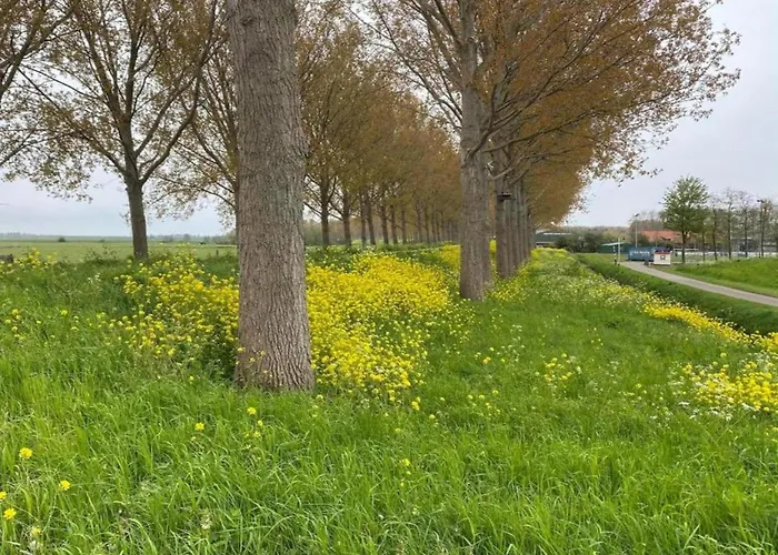 In Zuytland Buiten By The Water Σπίτι διακοπών Simonshaven